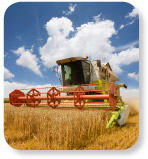 Agriculture